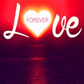 SONG: LOVE FOREVER